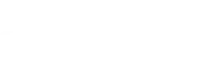 Feeding Bristol