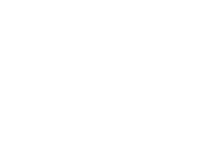 Johnsons