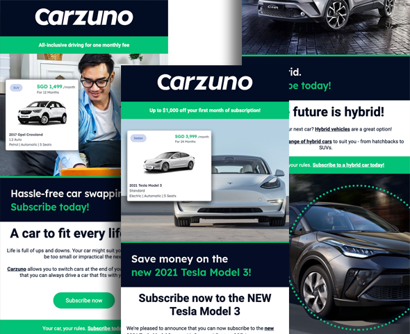 Purposeful content. Email marketing for Carzuno